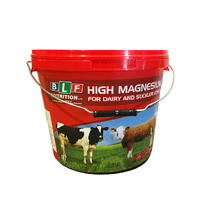 High Mag Mineral Block